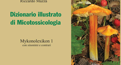 Dizionario illustrato di Micotossicologia – Mykonolexikon 1