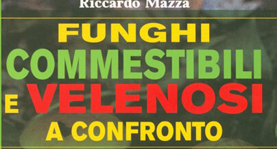 Funghi commestibili e velenosi a confronto