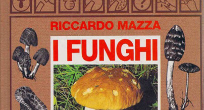 I Funghi – Guida al riconoscimento